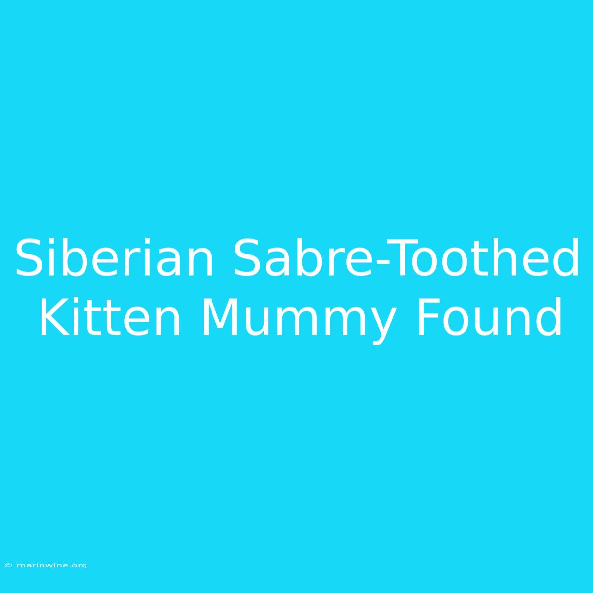 Siberian Sabre-Toothed Kitten Mummy Found