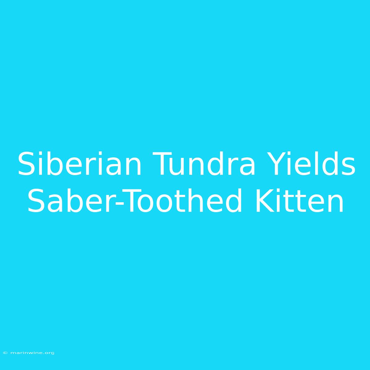 Siberian Tundra Yields Saber-Toothed Kitten