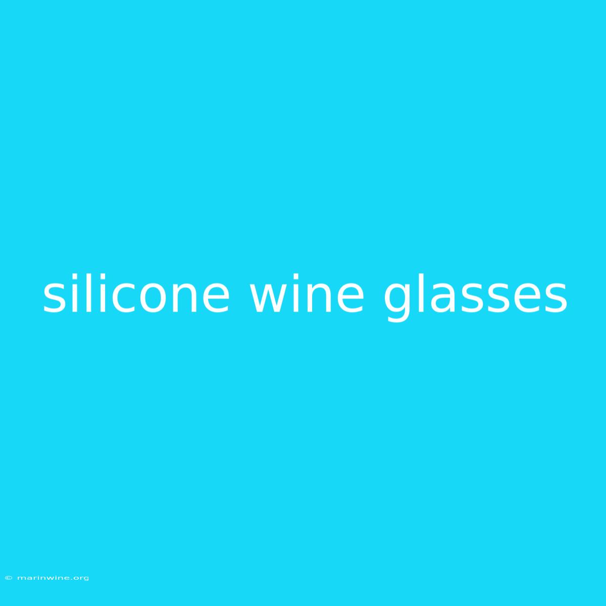 Silicone Wine Glasses