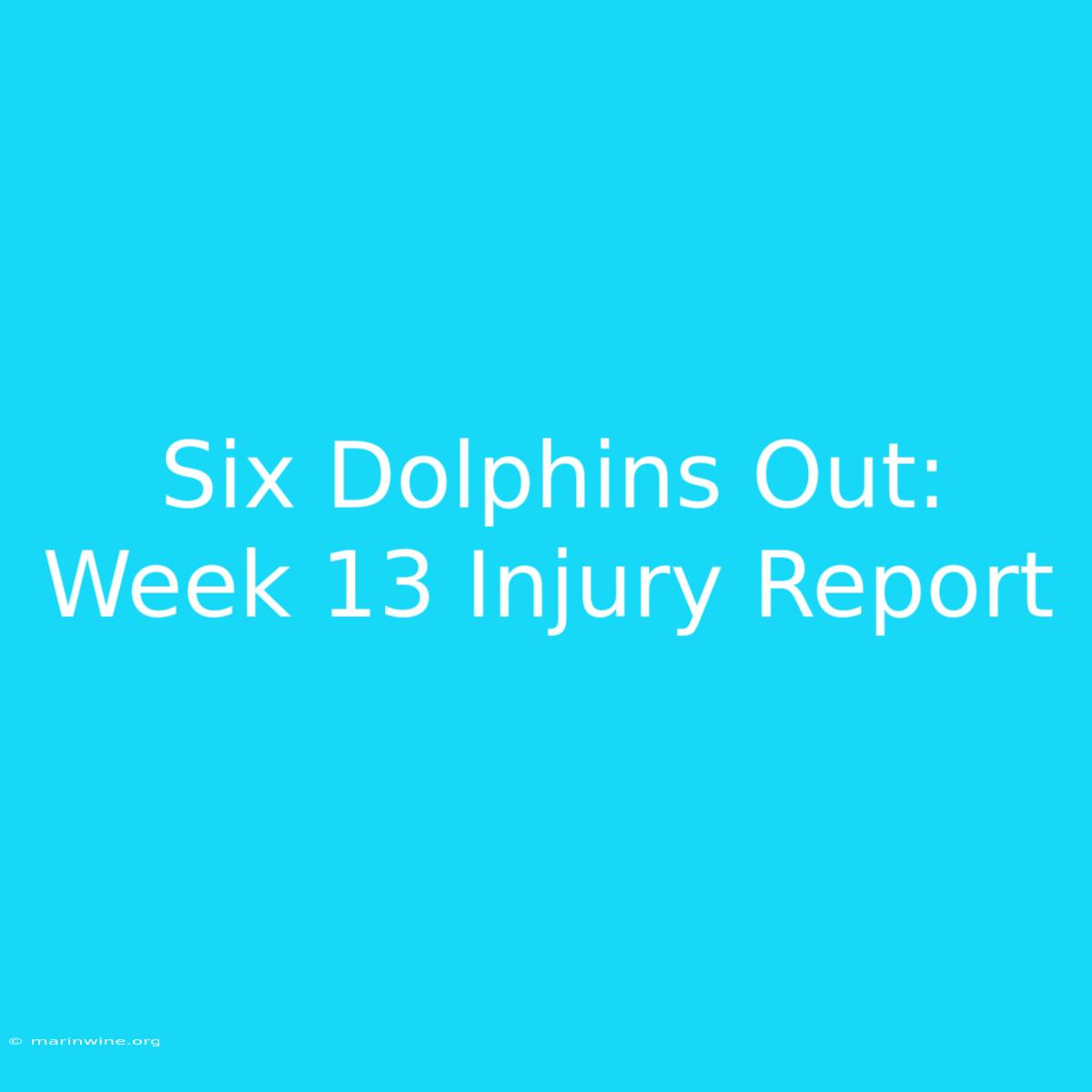 Six Dolphins Out: Week 13 Injury Report