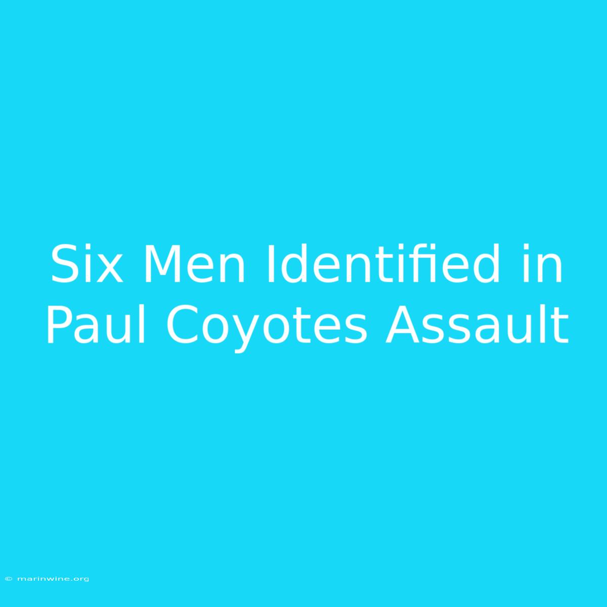 Six Men Identified In Paul Coyotes Assault