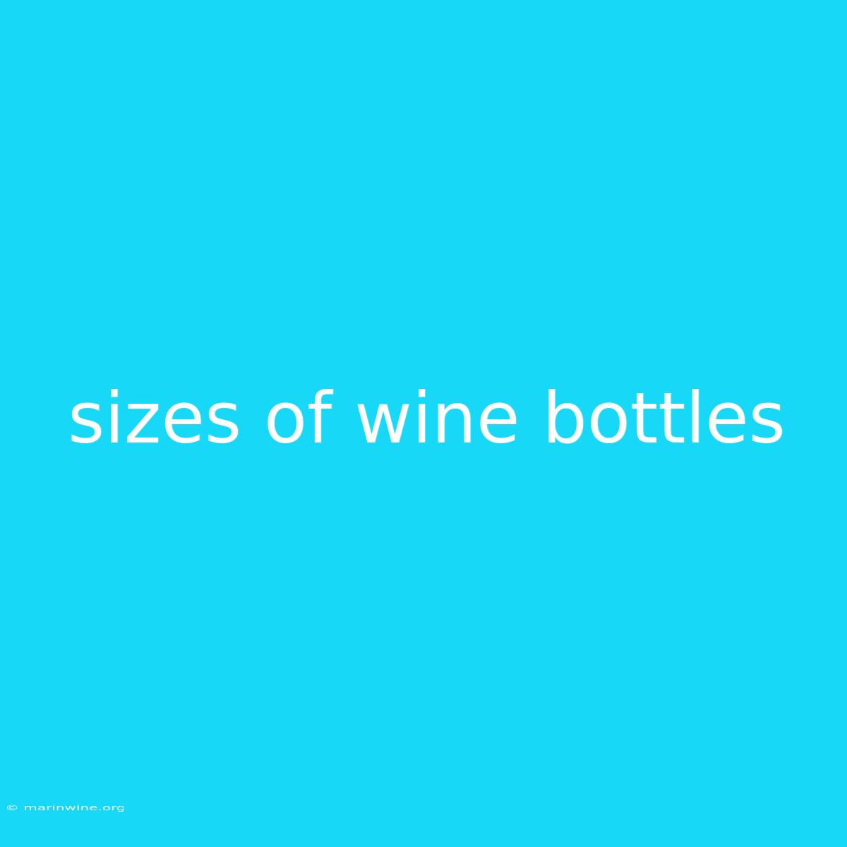 Sizes Of Wine Bottles