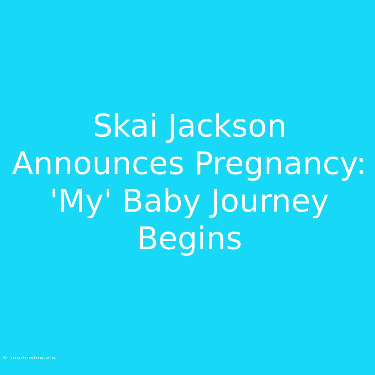 Skai Jackson Announces Pregnancy: 'My' Baby Journey Begins 