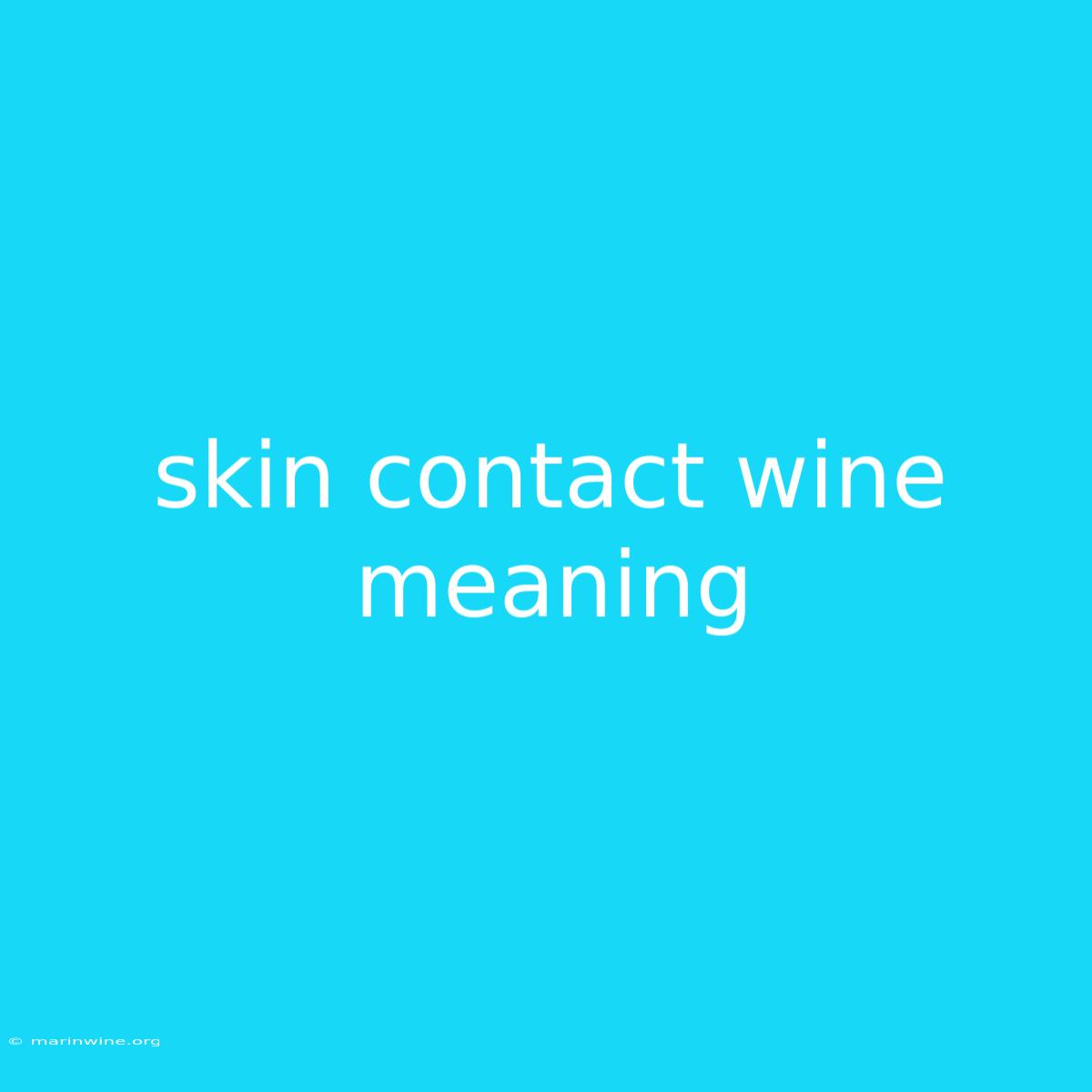 Skin Contact Wine Meaning