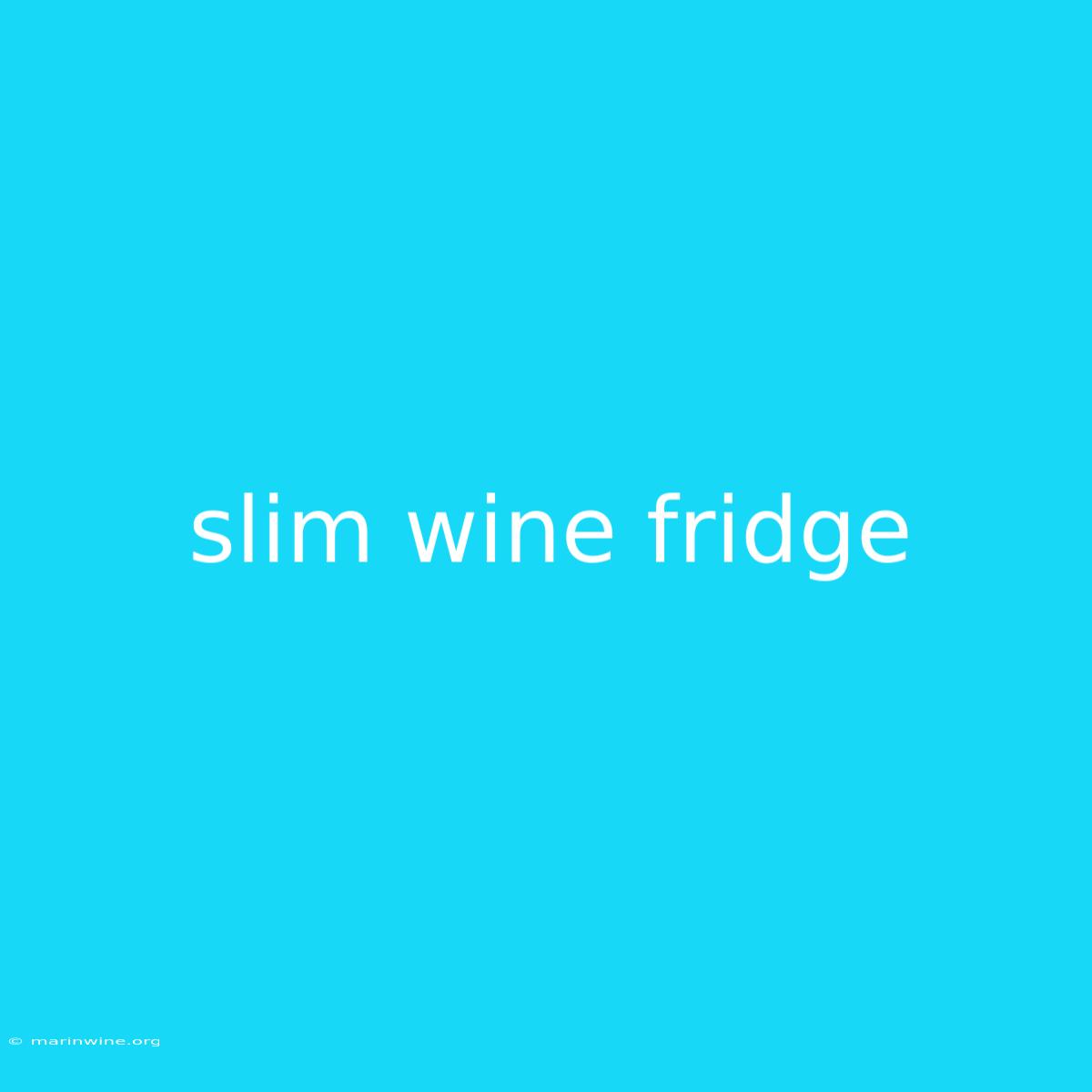 Slim Wine Fridge