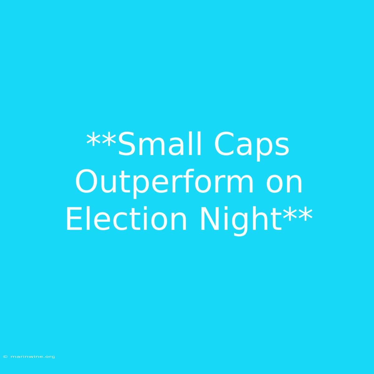 **Small Caps Outperform On Election Night** 