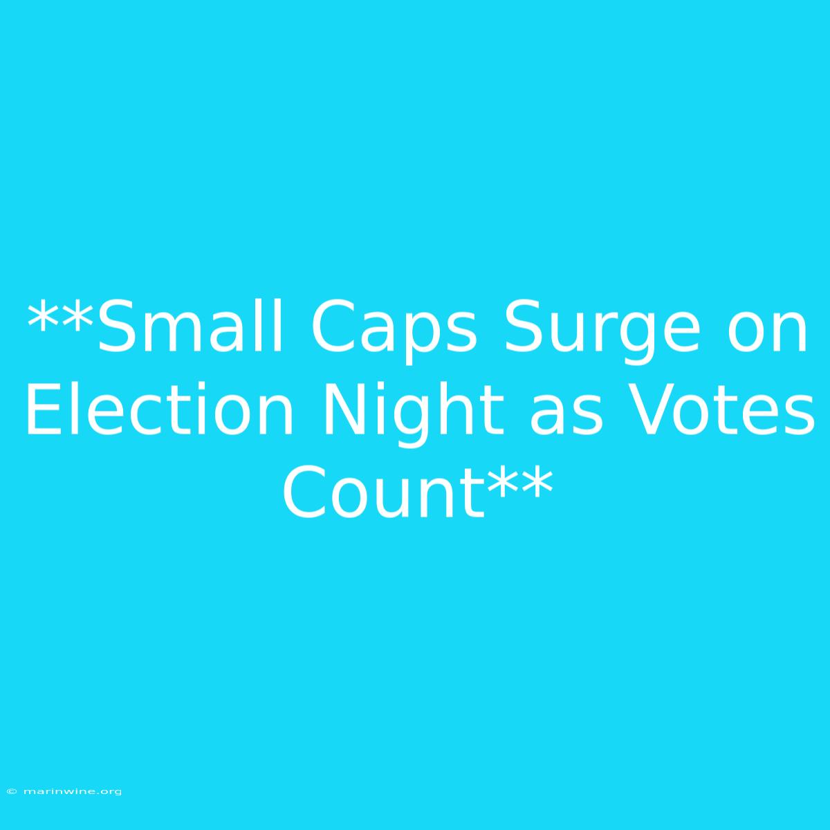 **Small Caps Surge On Election Night As Votes Count** 