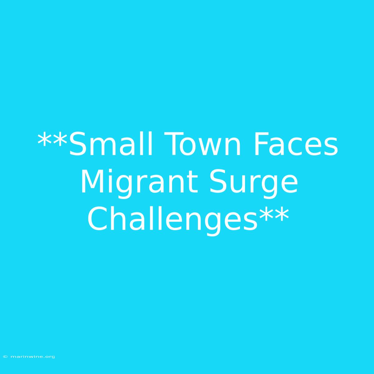 **Small Town Faces Migrant Surge Challenges**