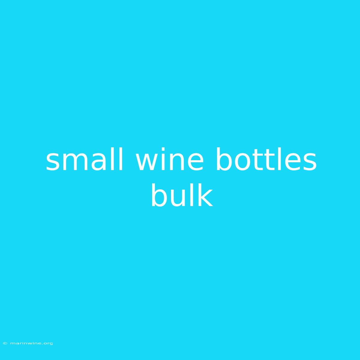 Small Wine Bottles Bulk