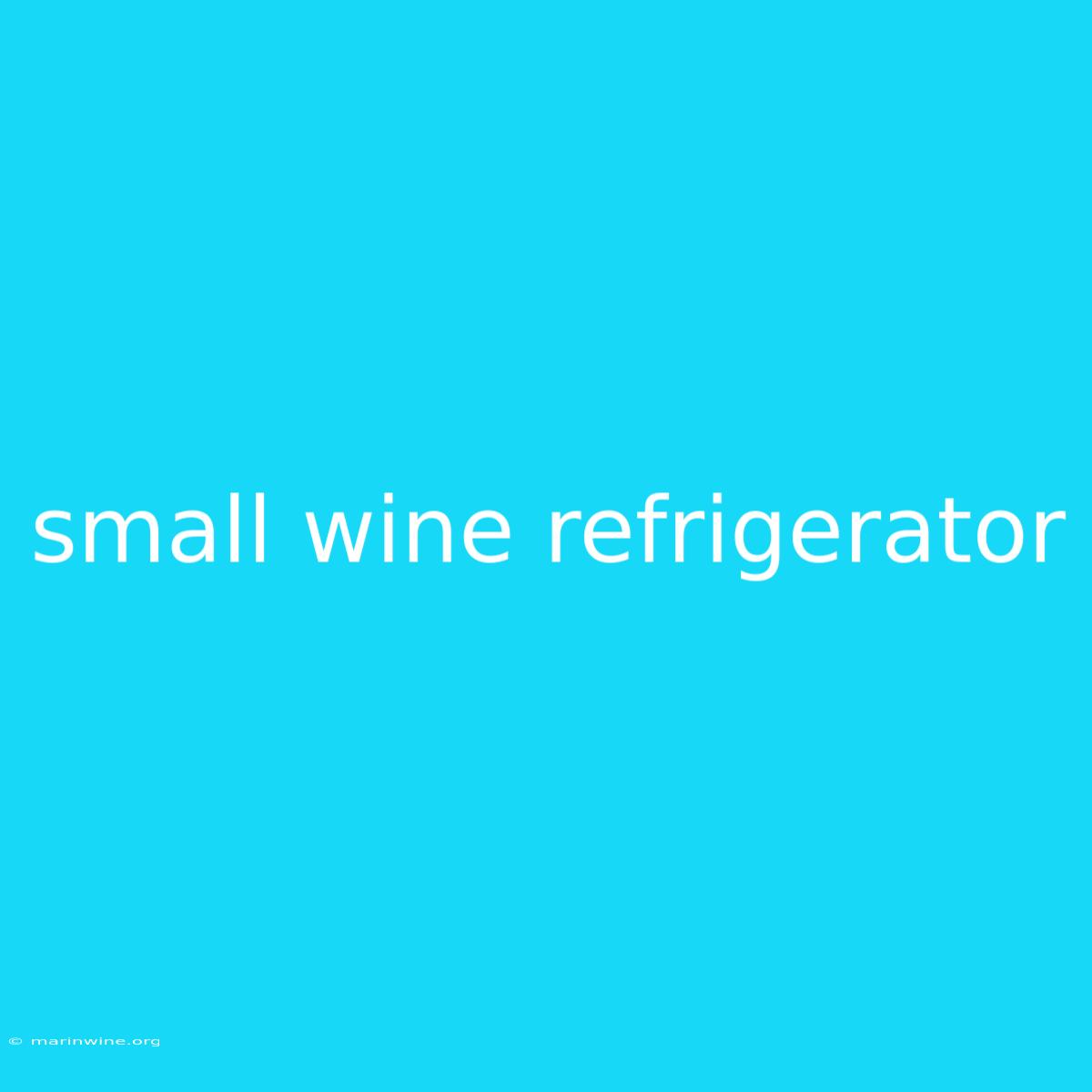 Small Wine Refrigerator