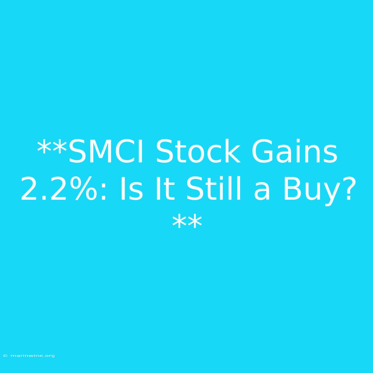 **SMCI Stock Gains 2.2%: Is It Still A Buy?**