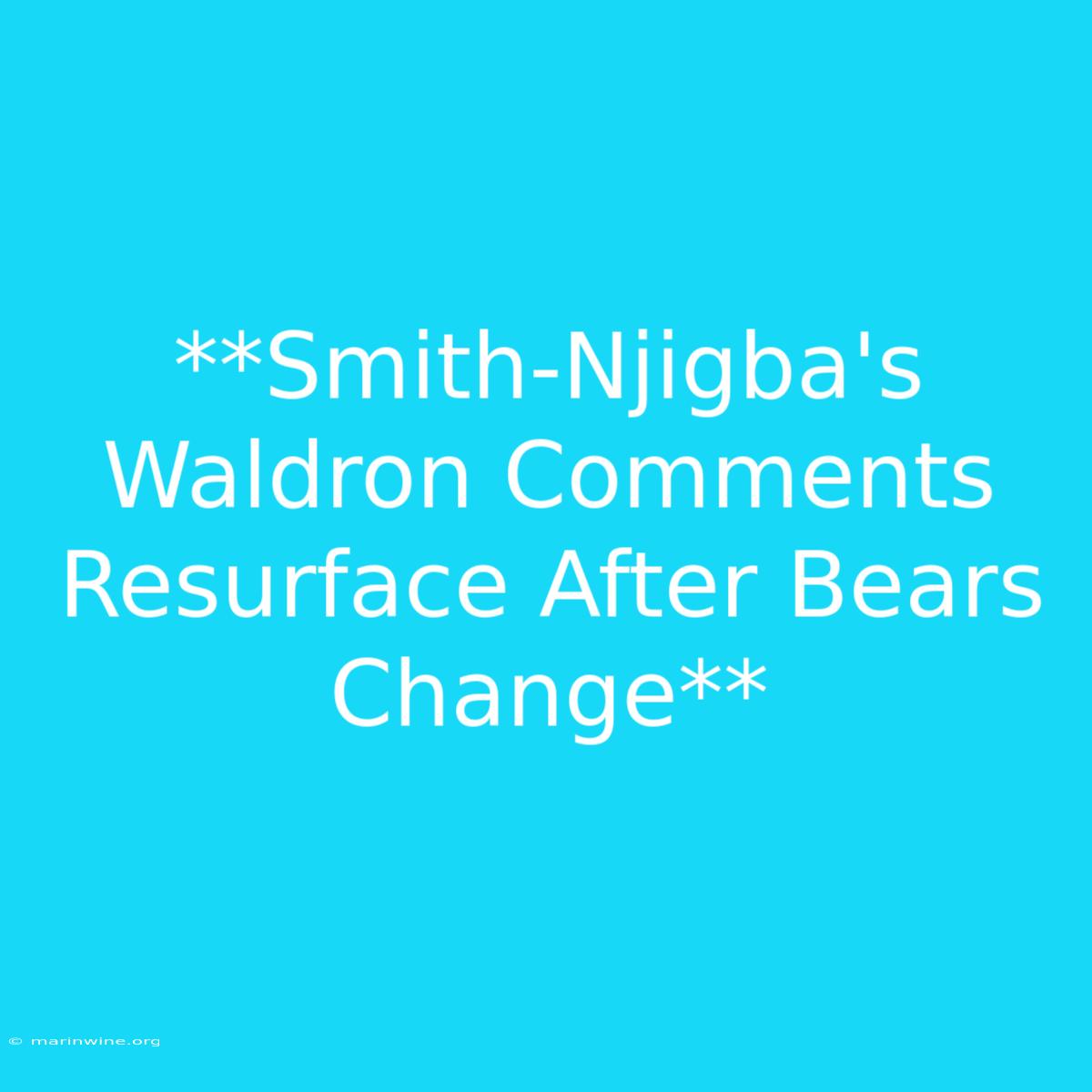 **Smith-Njigba's Waldron Comments Resurface After Bears Change** 