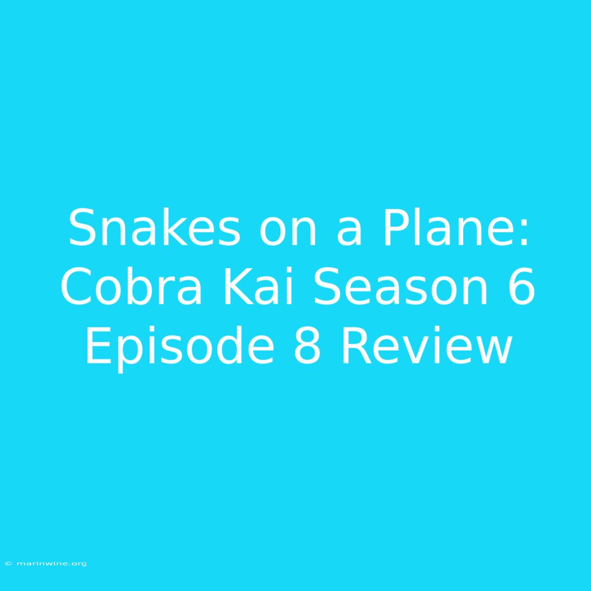 Snakes On A Plane: Cobra Kai Season 6 Episode 8 Review