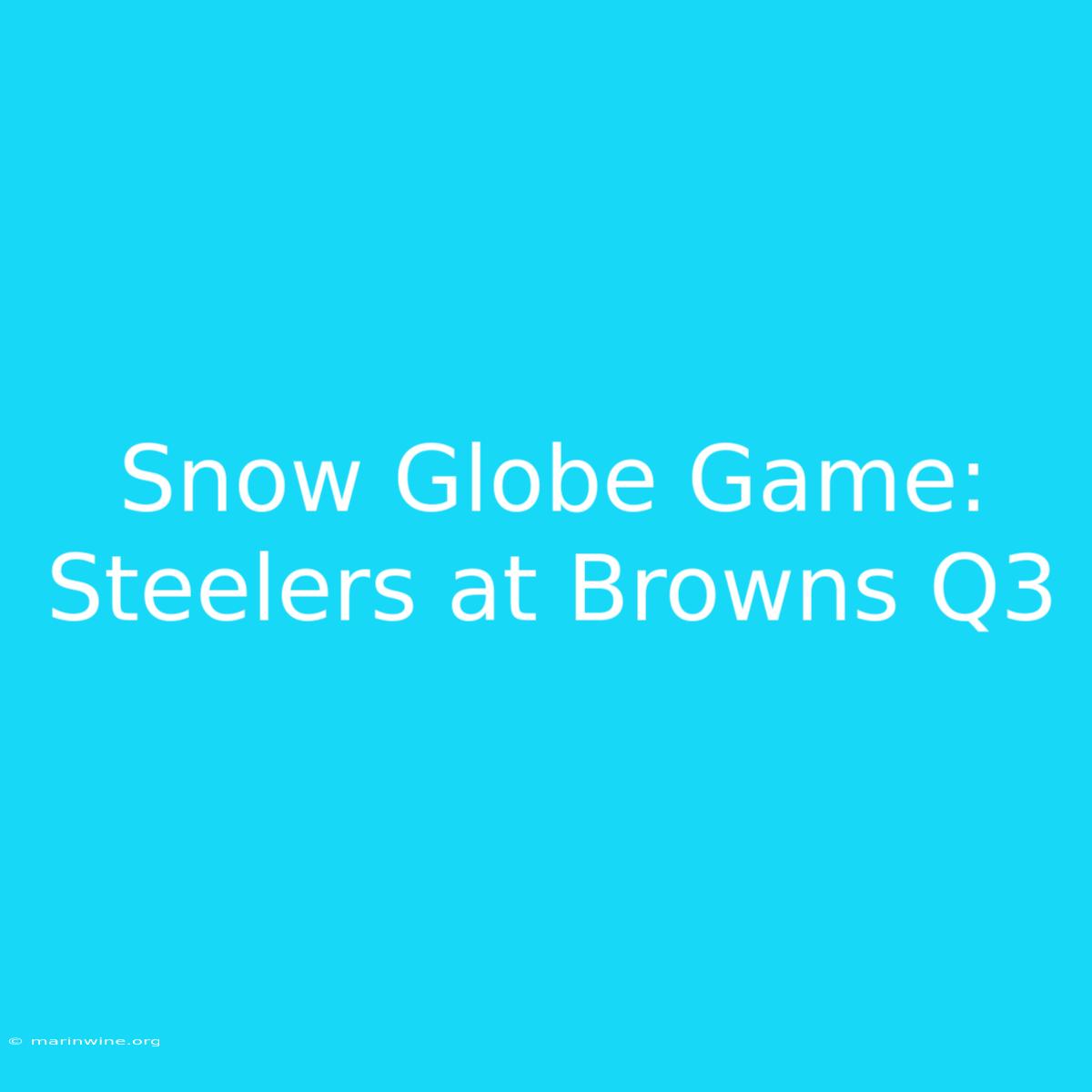 Snow Globe Game: Steelers At Browns Q3