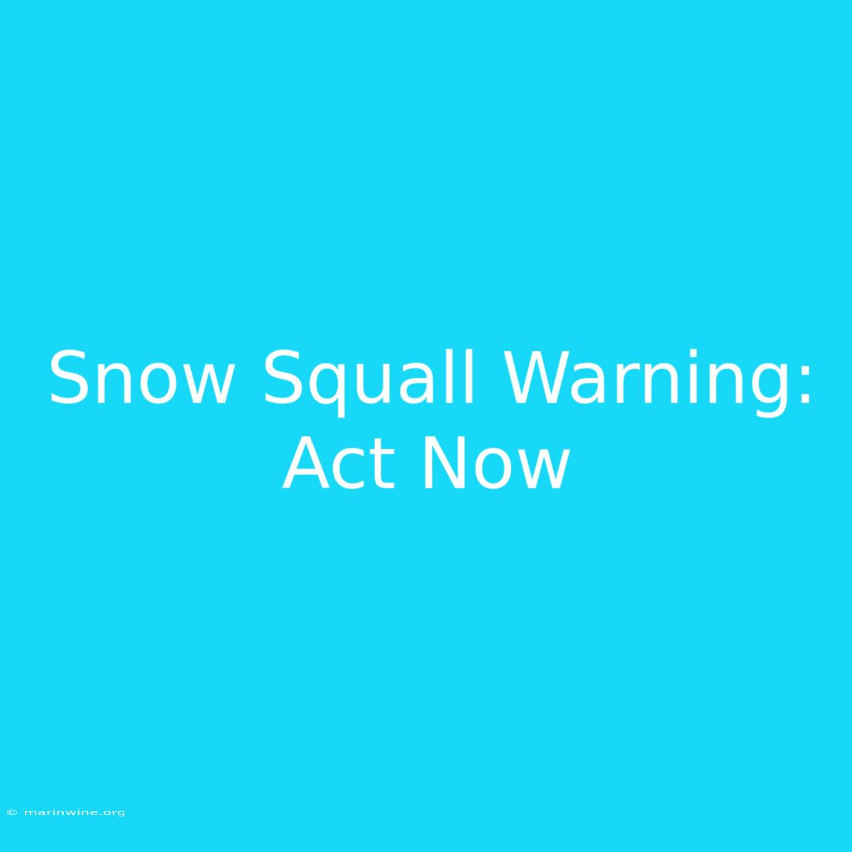 Snow Squall Warning: Act Now