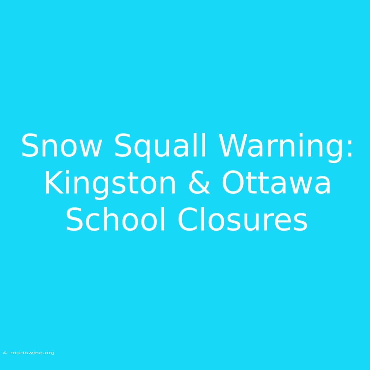 Snow Squall Warning: Kingston & Ottawa School Closures