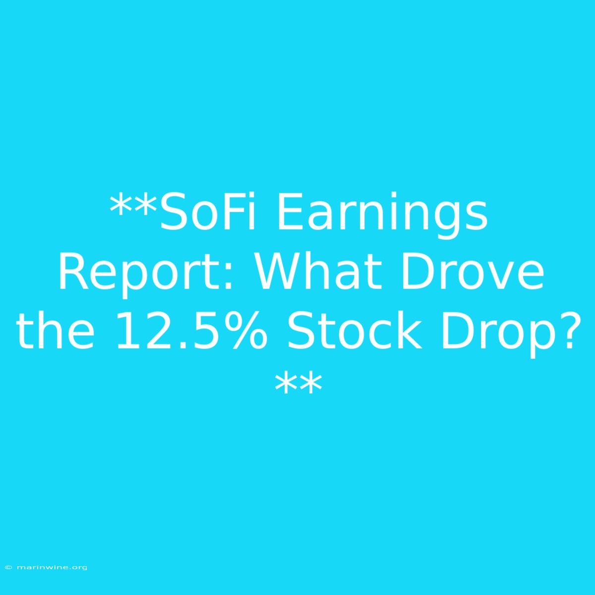 **SoFi Earnings Report: What Drove The 12.5% Stock Drop?**