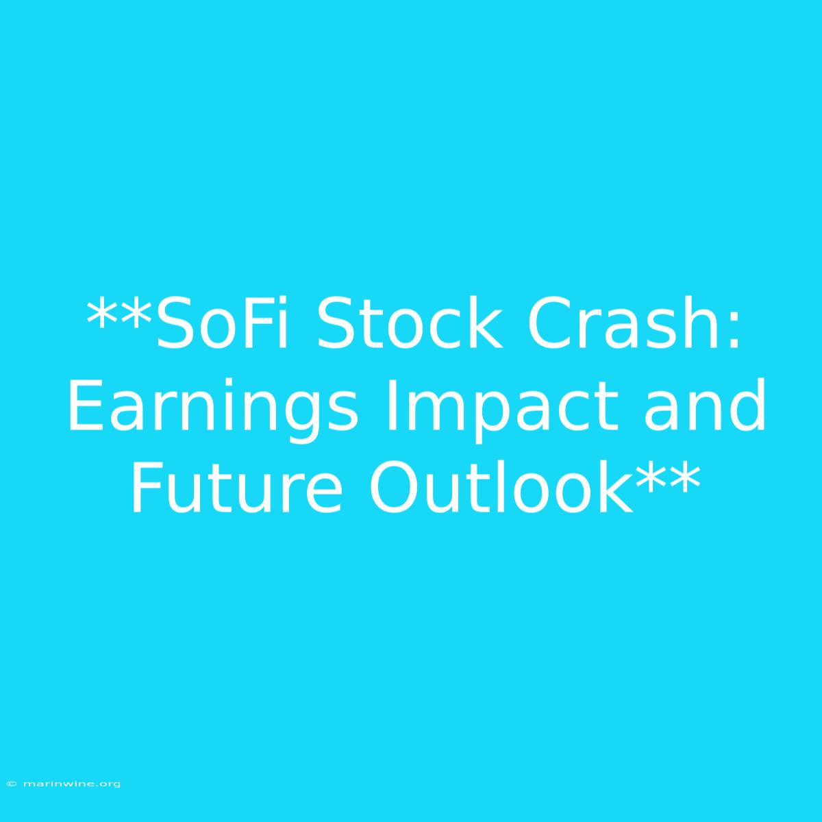 **SoFi Stock Crash:  Earnings Impact And Future Outlook** 