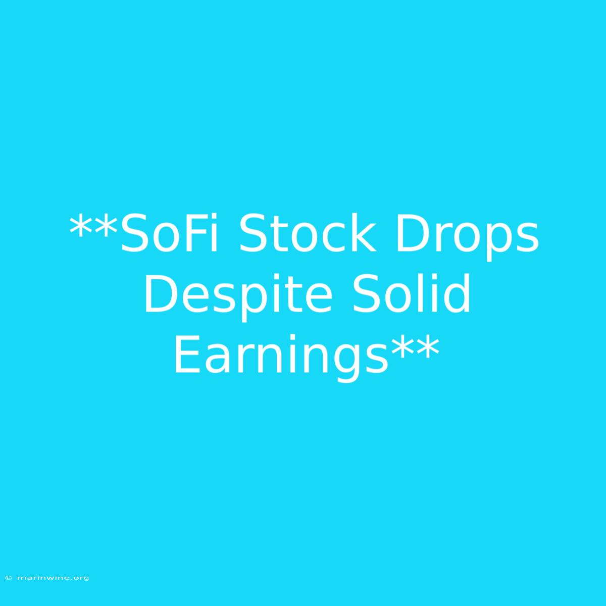 **SoFi Stock Drops Despite Solid Earnings**