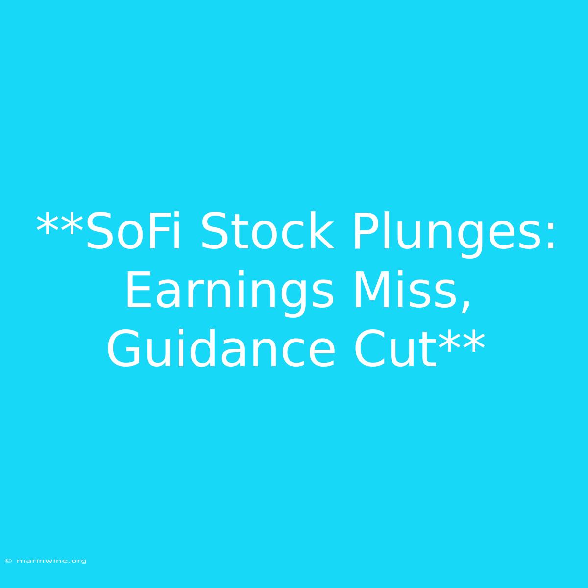 **SoFi Stock Plunges: Earnings Miss, Guidance Cut**