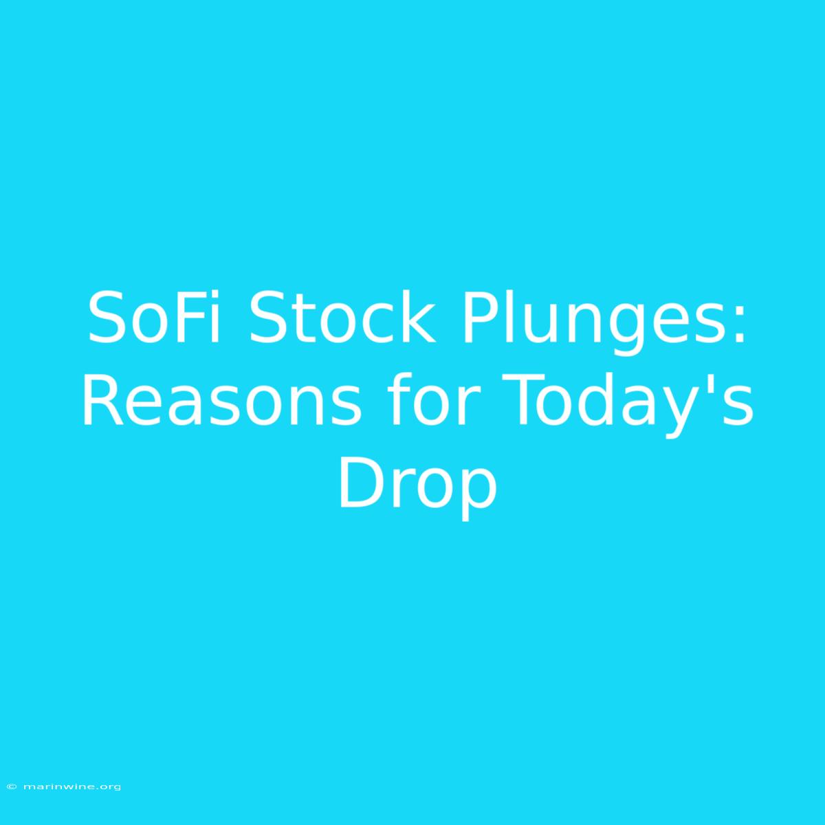 SoFi Stock Plunges: Reasons For Today's Drop