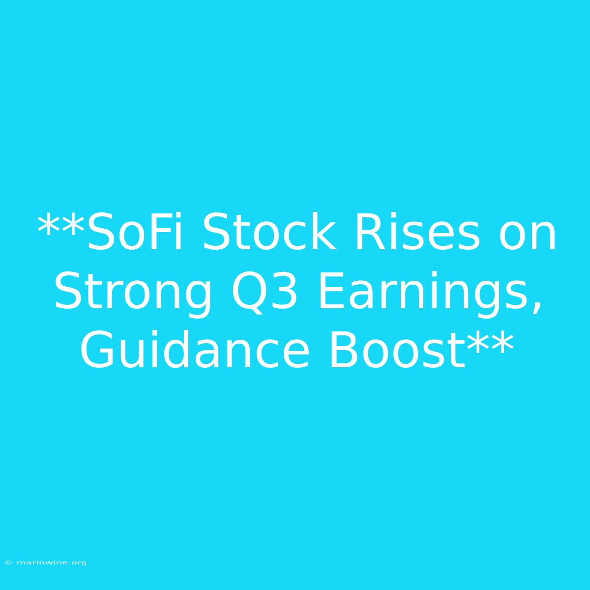 **SoFi Stock Rises On Strong Q3 Earnings, Guidance Boost** 