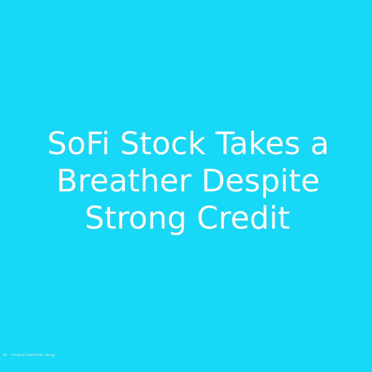 SoFi Stock Takes A Breather Despite Strong Credit