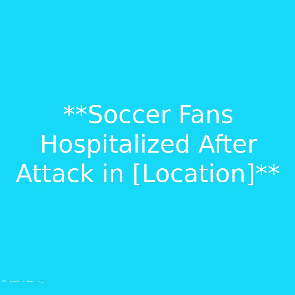 **Soccer Fans Hospitalized After Attack In [Location]** 