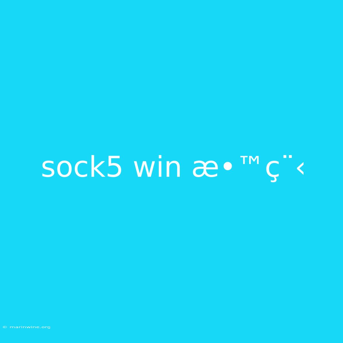 Sock5 Win Æ•™ç¨‹