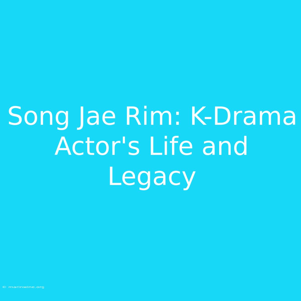 Song Jae Rim: K-Drama Actor's Life And Legacy