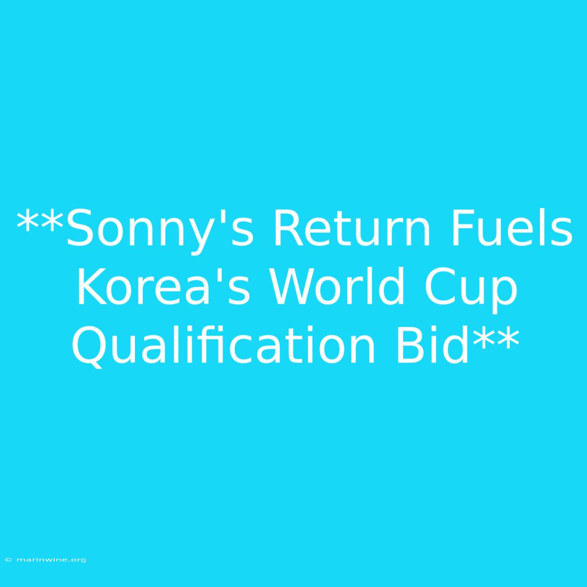 **Sonny's Return Fuels Korea's World Cup Qualification Bid**