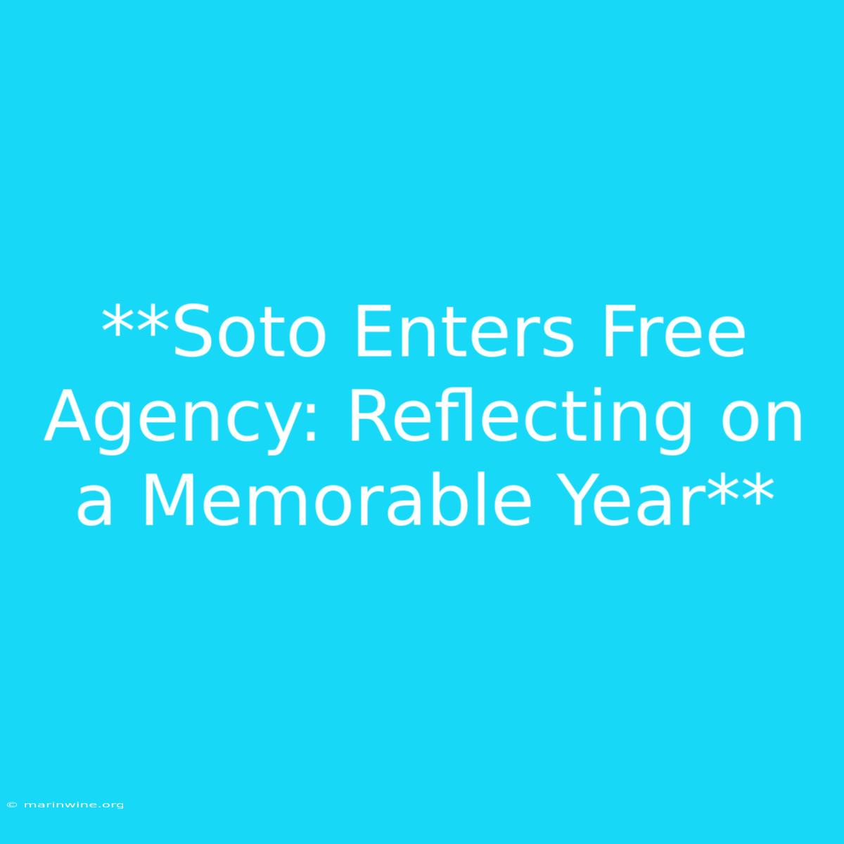 **Soto Enters Free Agency: Reflecting On A Memorable Year**