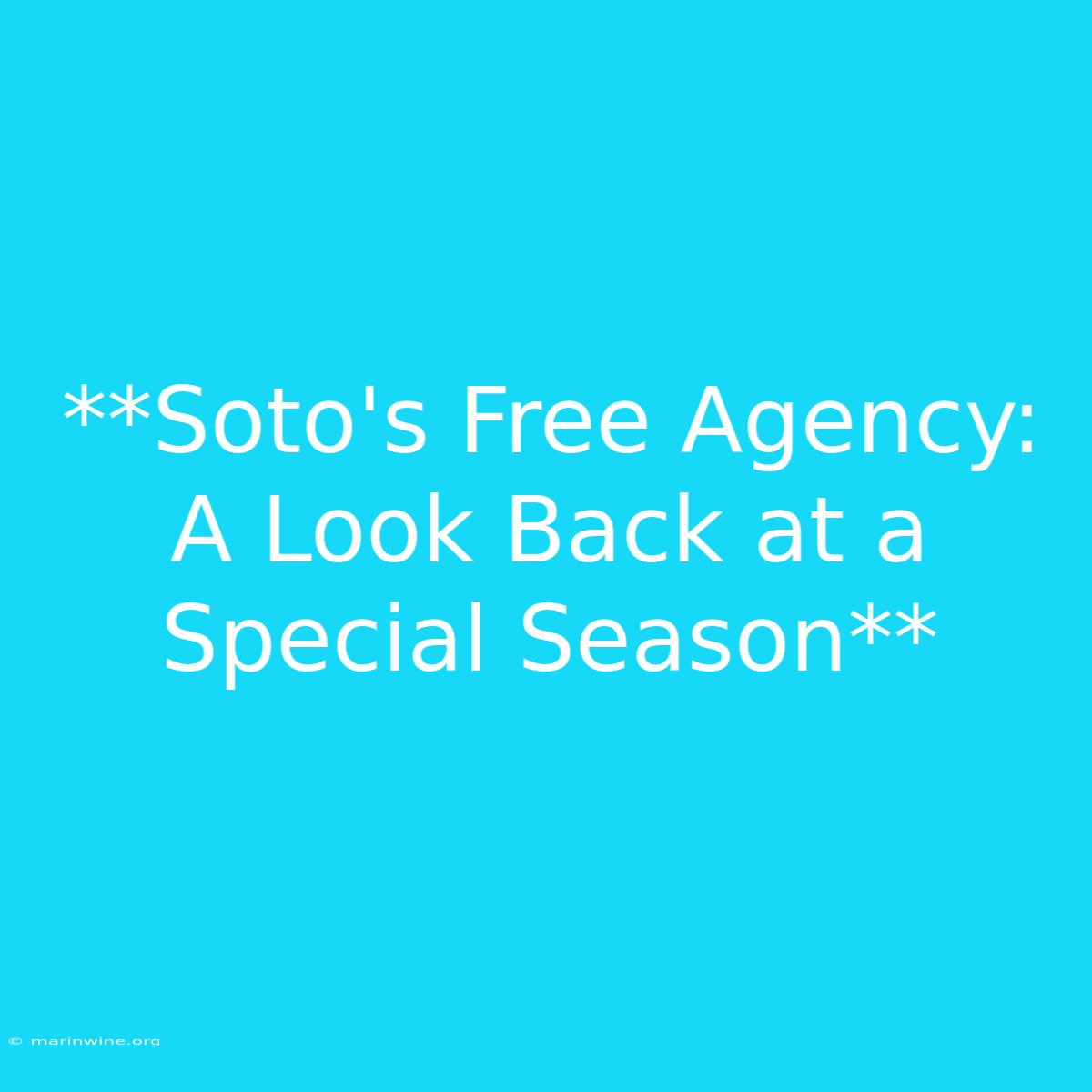 **Soto's Free Agency: A Look Back At A Special Season**