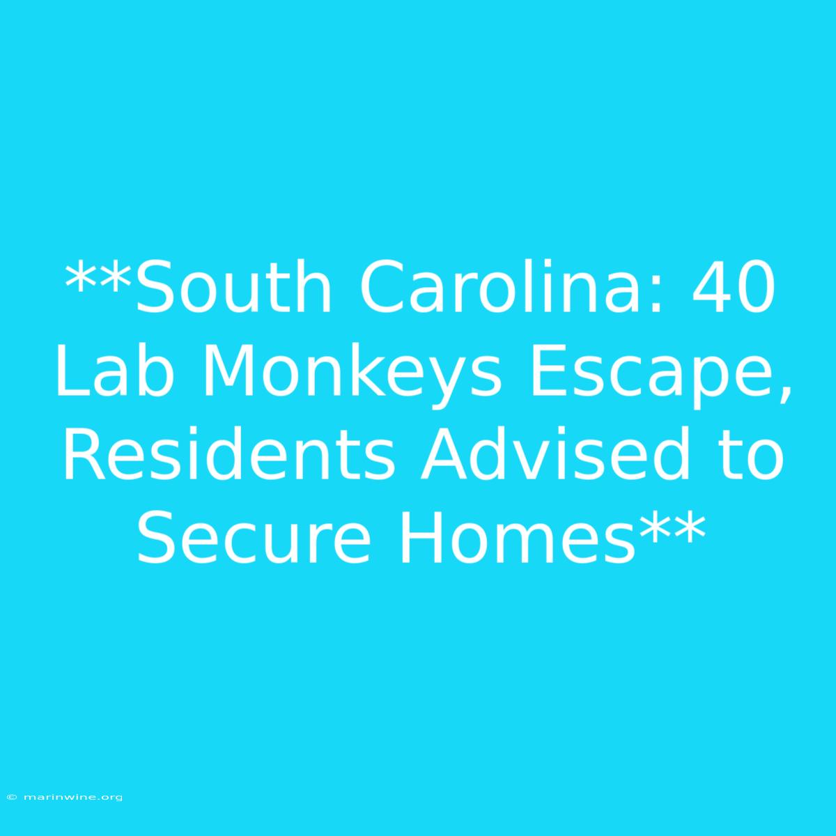 **South Carolina: 40 Lab Monkeys Escape, Residents Advised To Secure Homes** 