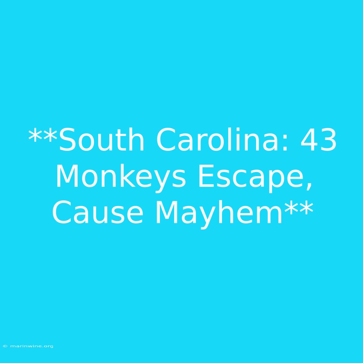 **South Carolina: 43 Monkeys Escape, Cause Mayhem** 