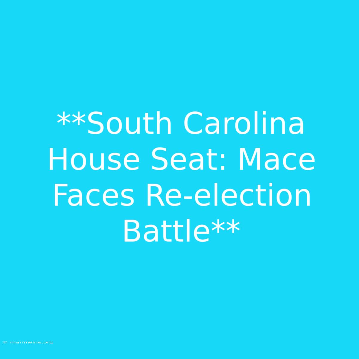 **South Carolina House Seat: Mace Faces Re-election Battle** 