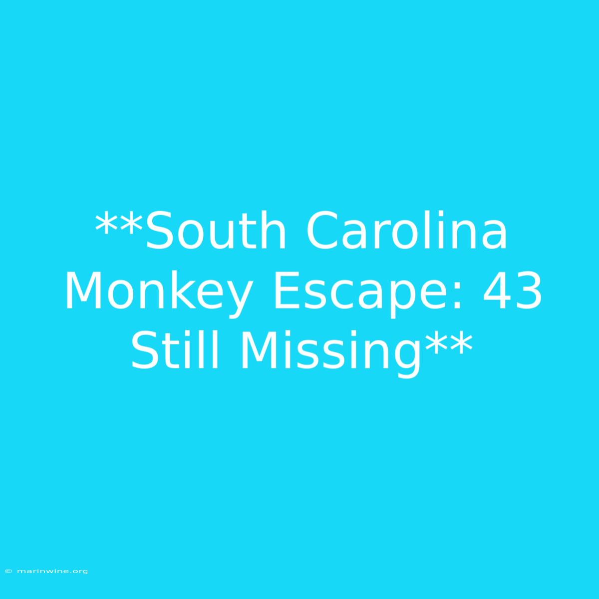 **South Carolina Monkey Escape: 43 Still Missing**