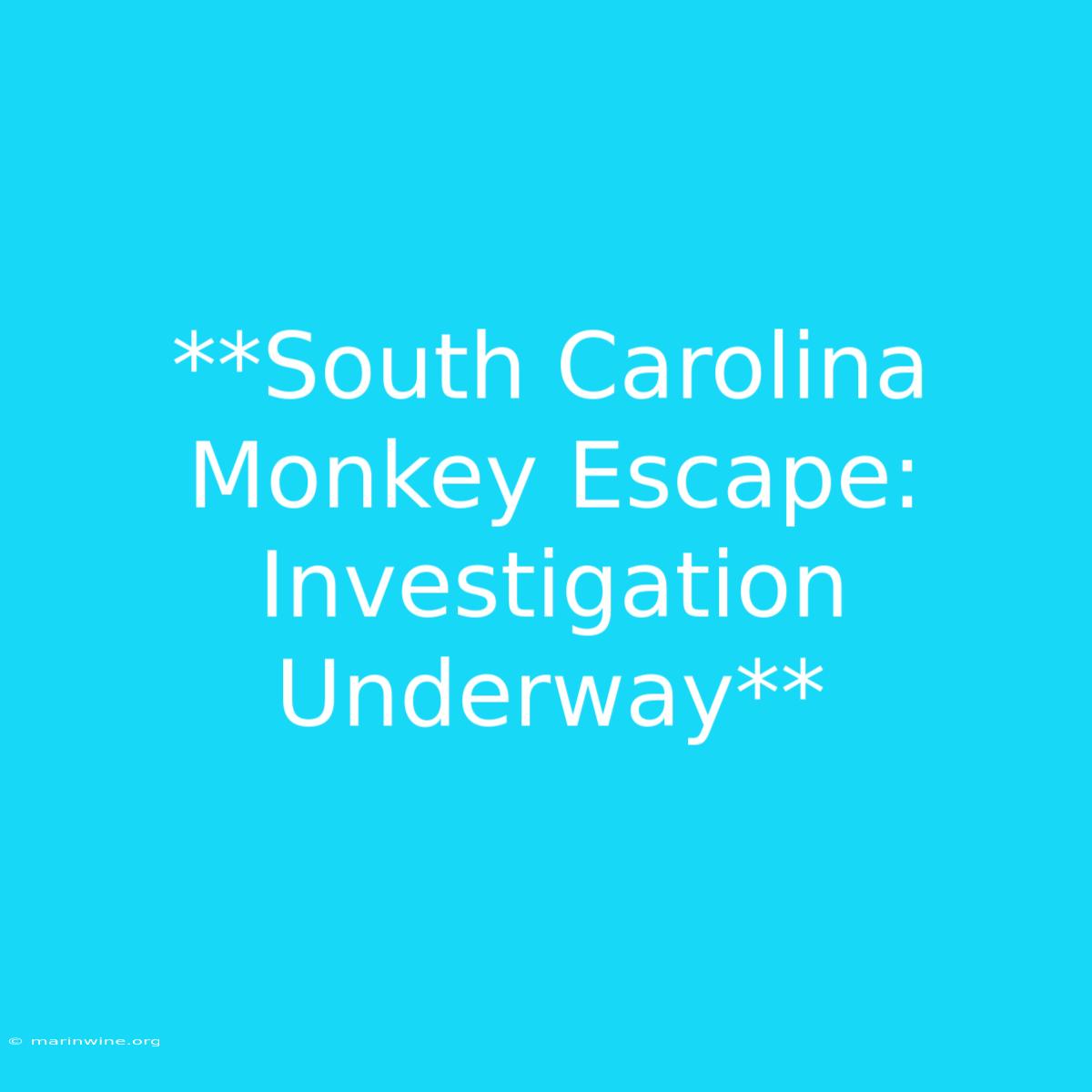 **South Carolina Monkey Escape: Investigation Underway** 