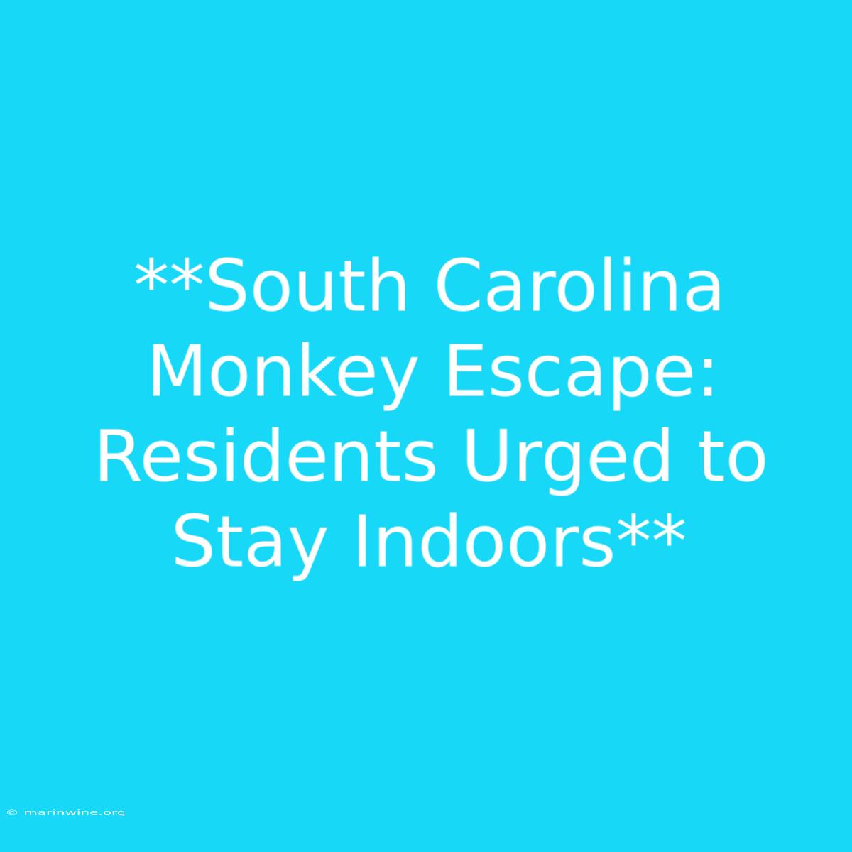 **South Carolina Monkey Escape: Residents Urged To Stay Indoors**