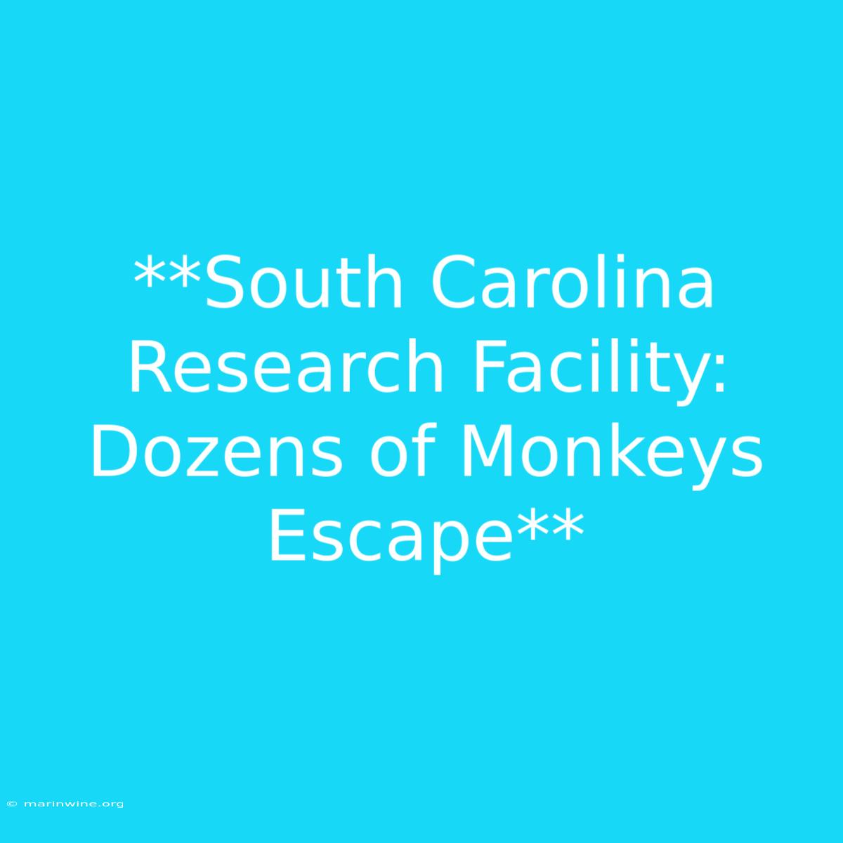 **South Carolina Research Facility: Dozens Of Monkeys Escape**