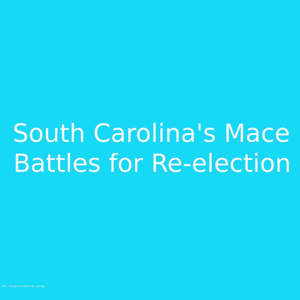 South Carolina's Mace Battles For Re-election 