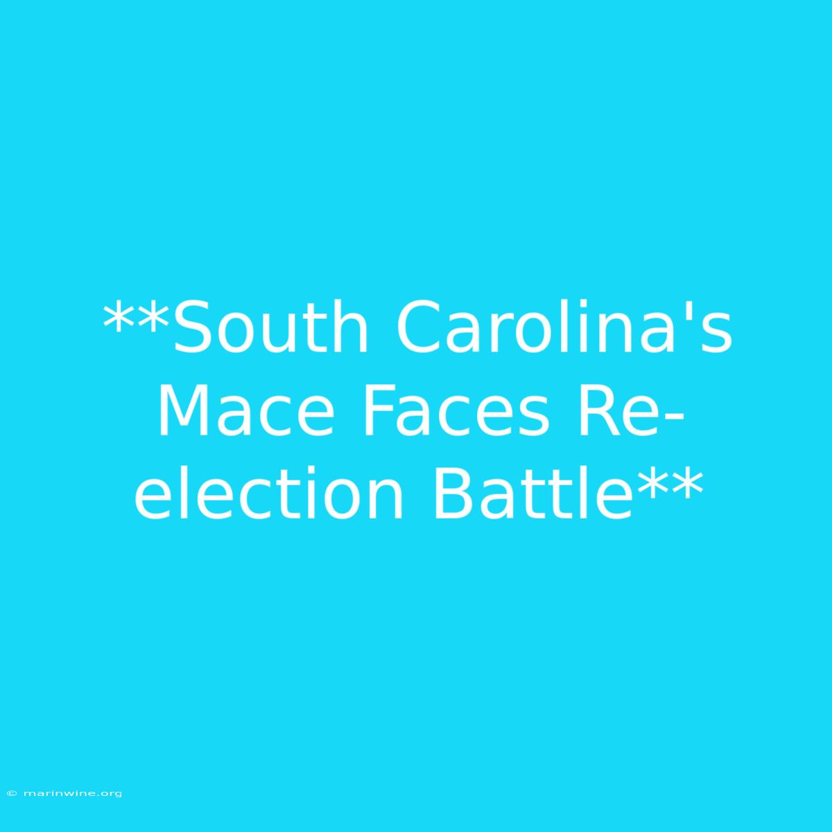 **South Carolina's Mace Faces Re-election Battle** 