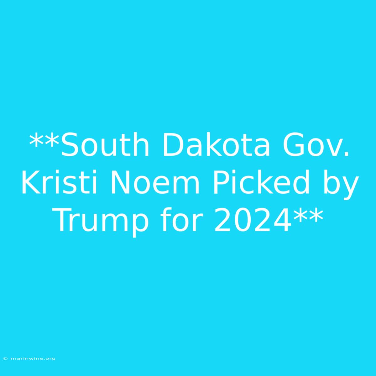 **South Dakota Gov. Kristi Noem Picked By Trump For 2024**