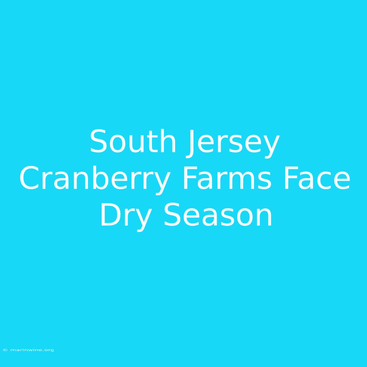 South Jersey Cranberry Farms Face Dry Season