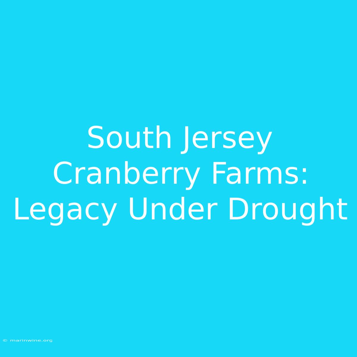 South Jersey Cranberry Farms: Legacy Under Drought