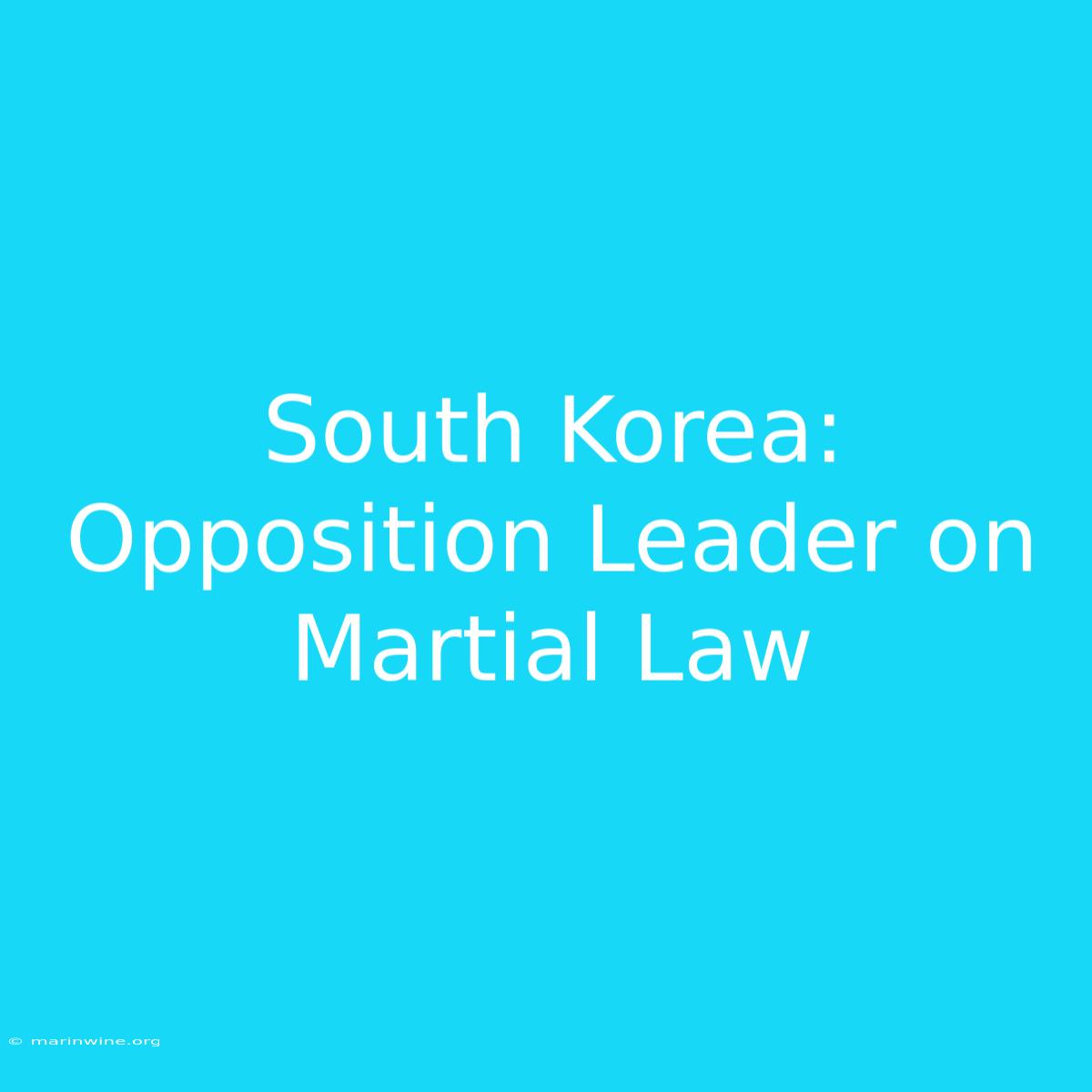 South Korea: Opposition Leader On Martial Law