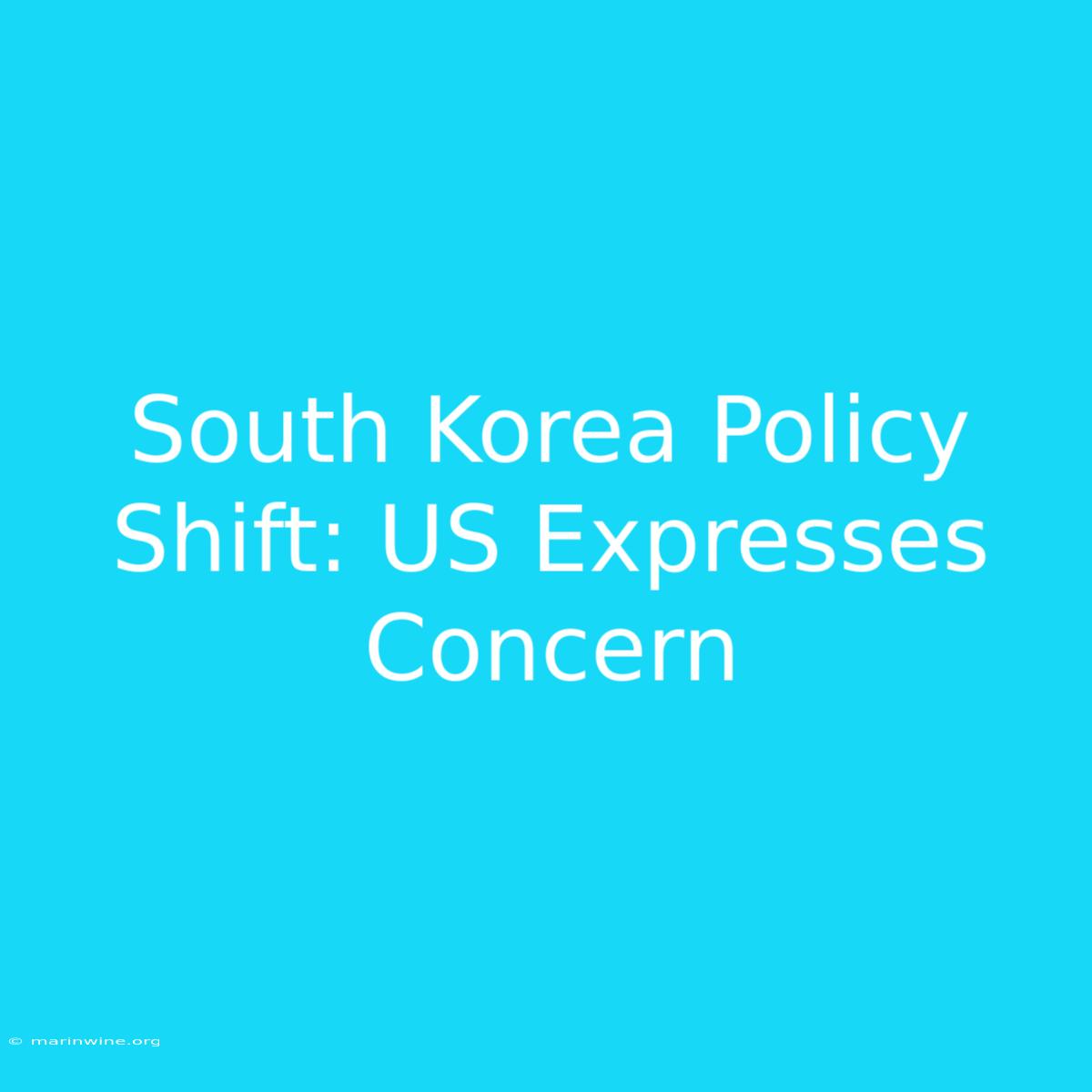 South Korea Policy Shift: US Expresses Concern