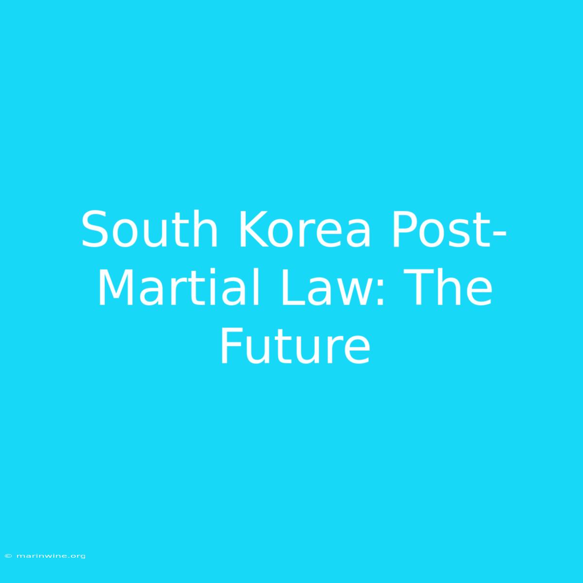 South Korea Post-Martial Law: The Future