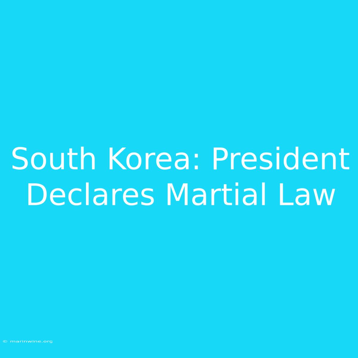 South Korea: President Declares Martial Law