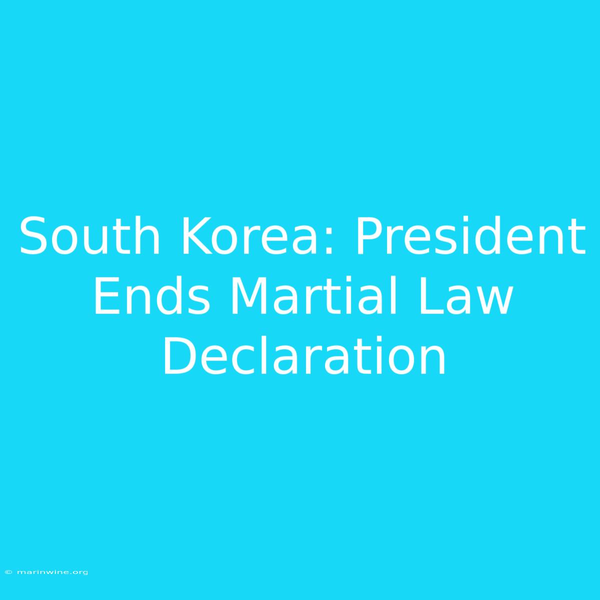 South Korea: President Ends Martial Law Declaration